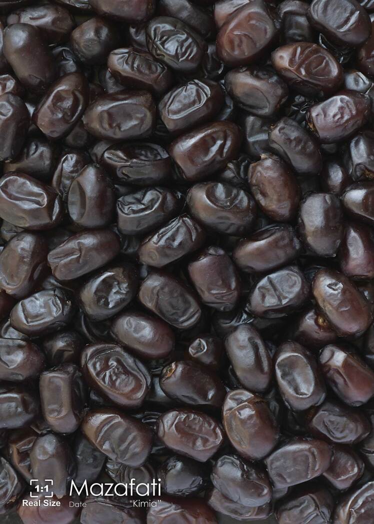  Iran's Endemic Treasure - The Uncopiable Essence of Mazafati Date (Kimia)